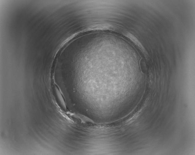 X0000075860834200609291546