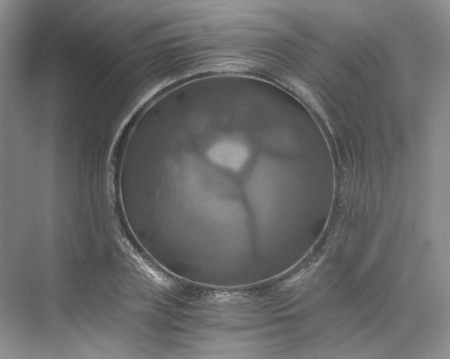 X0000075860835200609291546