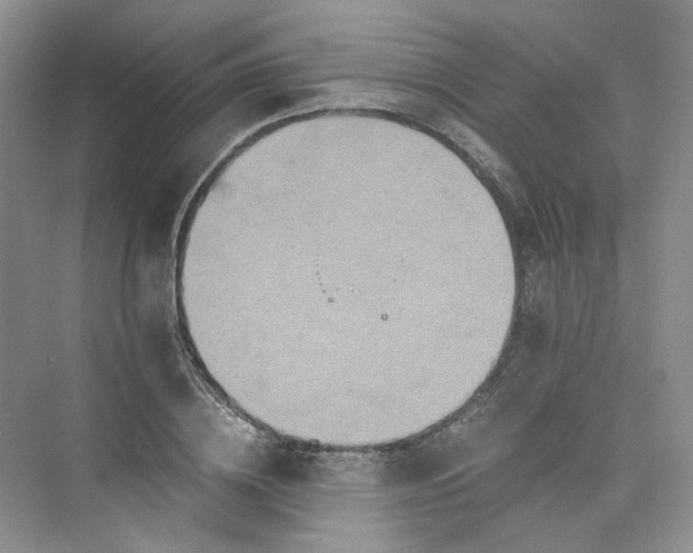 X0000075860836200609291546