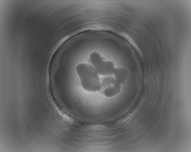 X0000075860837200609291546