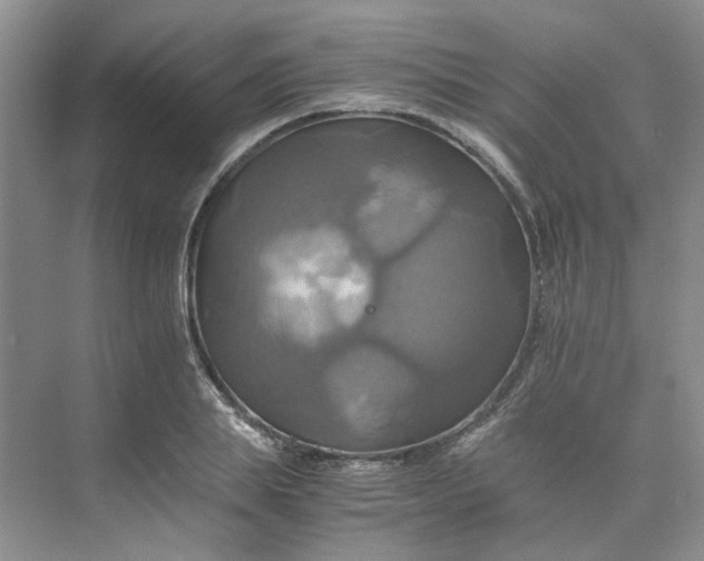 X0000075860839200609291546