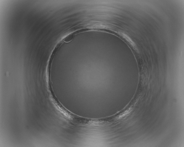 X0000075860840200609291546