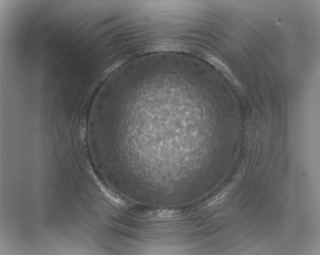 X0000075860841200609291546