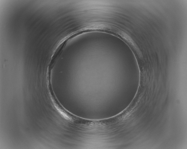 X0000075860842200609291546