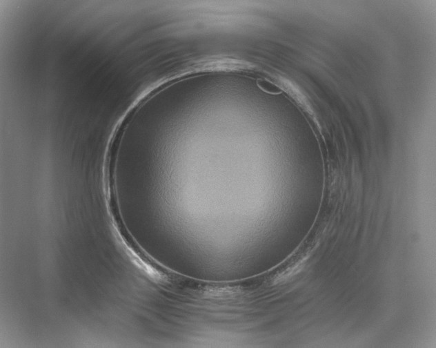 X0000075860843200609291546