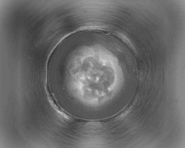 X0000075860844200609291546