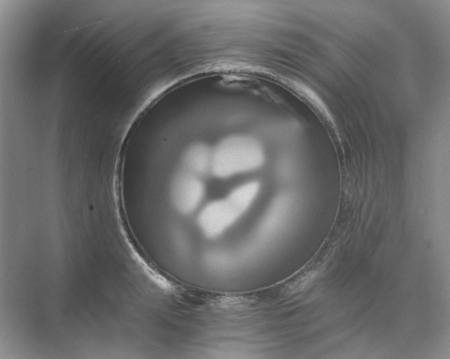 X0000075860847200609291546