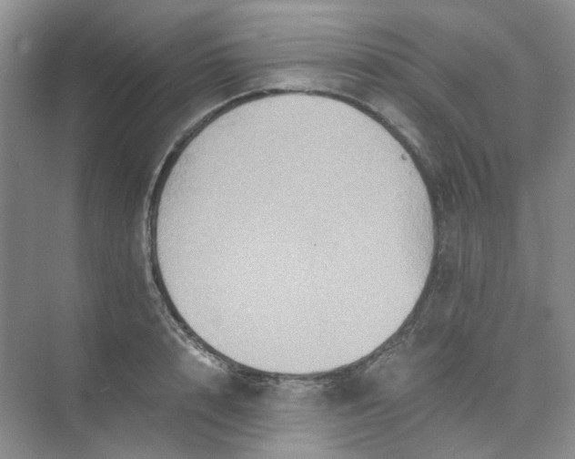 X0000075860848200609291546