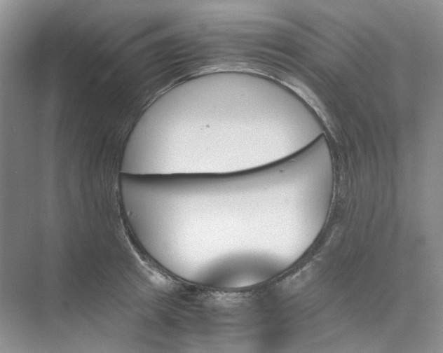 X0000075860849200609291546