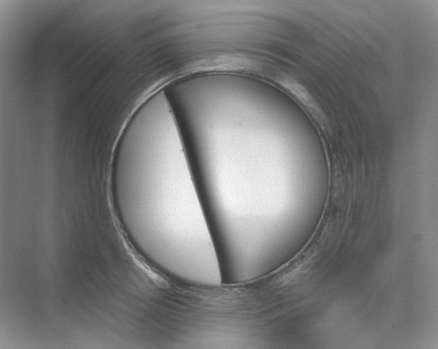 X0000075860850200609291546