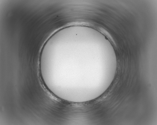 X0000075860852200609291546