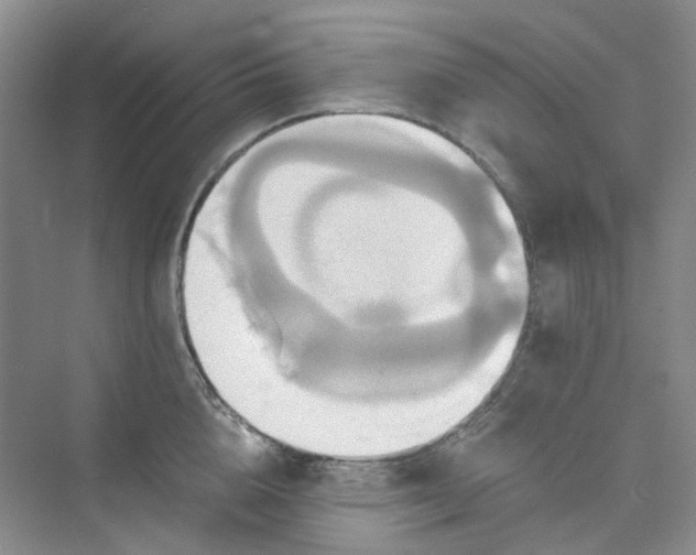 X0000075860856200609291546