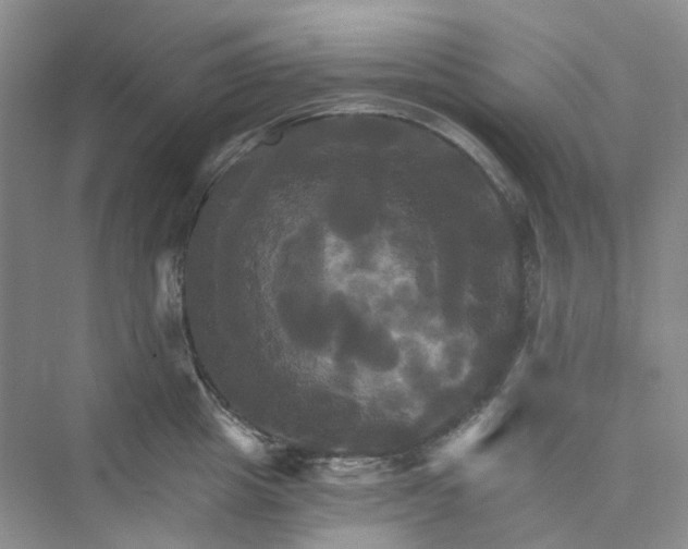 X0000075860857200609291546