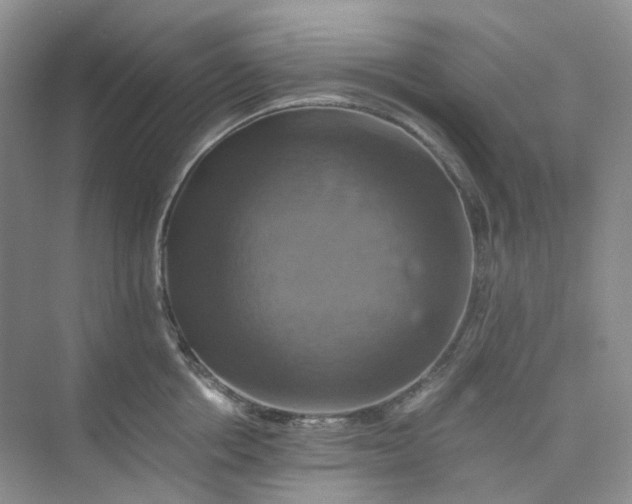 X0000075860858200609291546