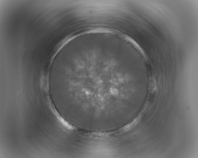 X0000075860860200609291546