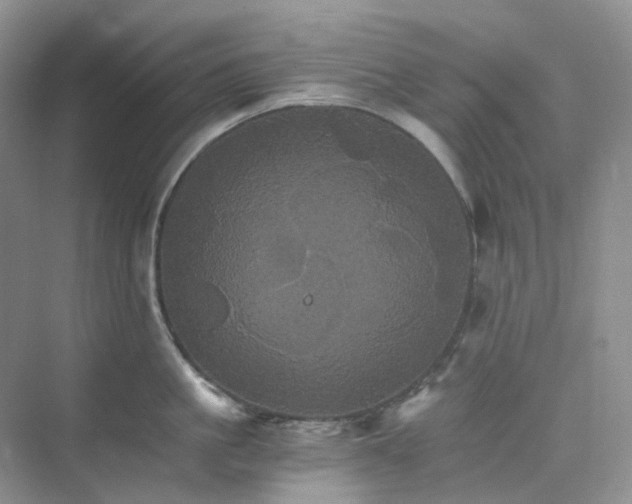 X0000075860861200609291546