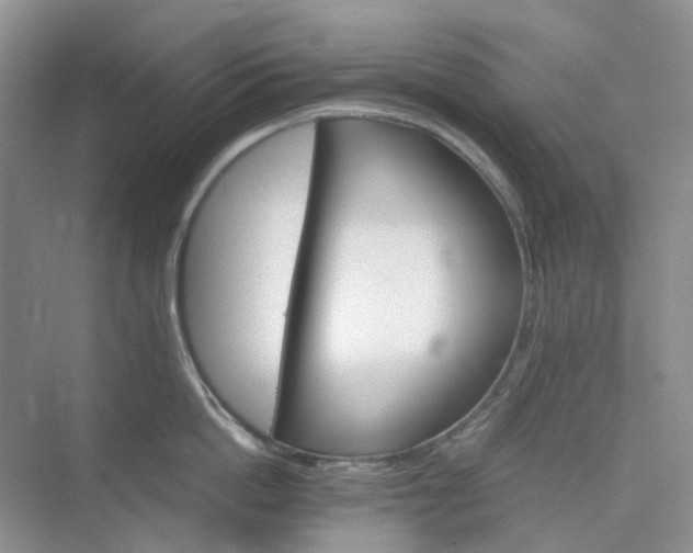 X0000075860862200609291546