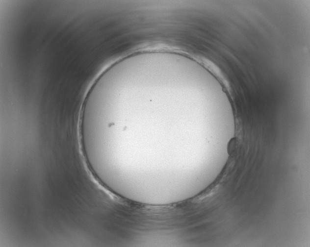 X0000075860863200609291546