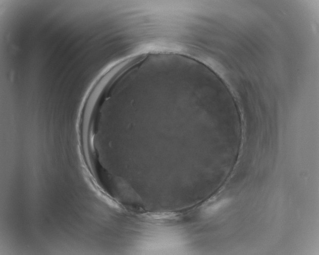 X0000075860864200609291546