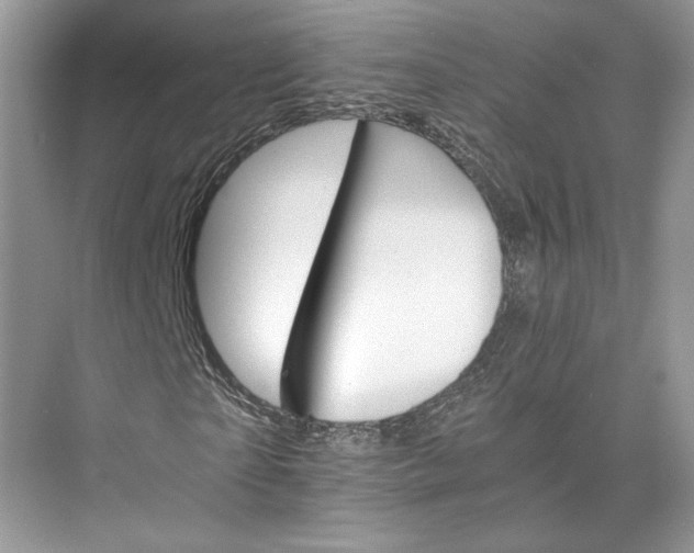 X0000075860865200609291545