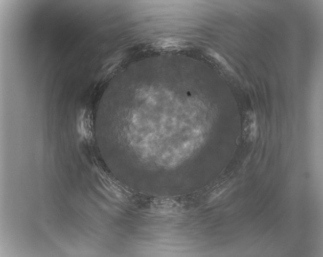 X0000075860866200609291545