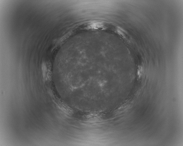 X0000075860867200609291545