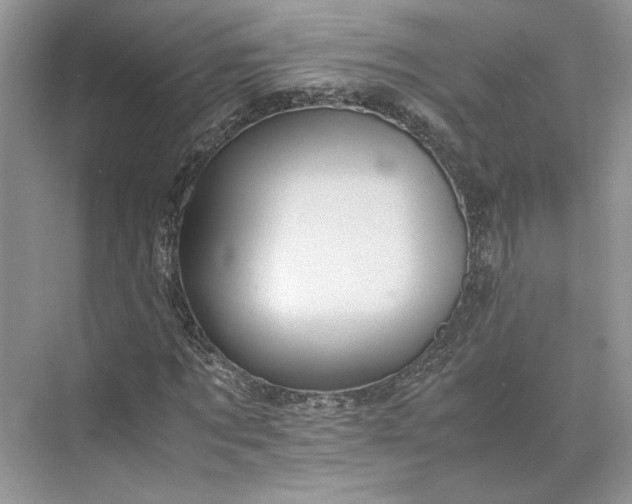 X0000075860869200609291545