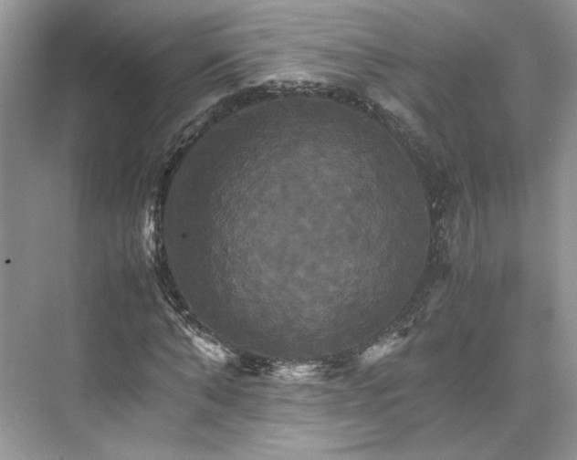 X0000075860870200609291545