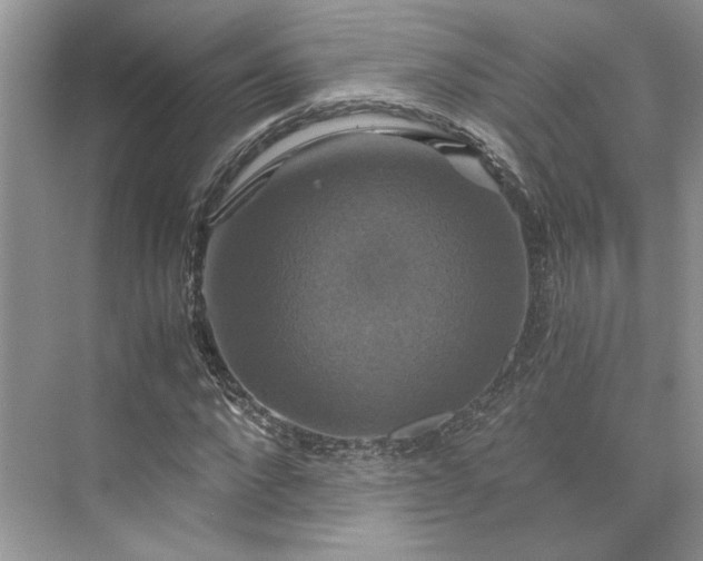 X0000075860872200609291545