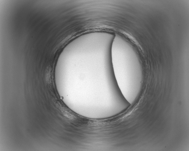 X0000075860873200609291545