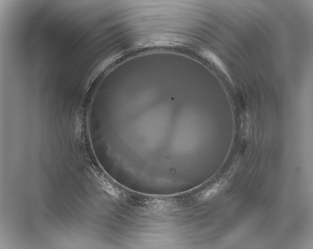 X0000075860874200609291545