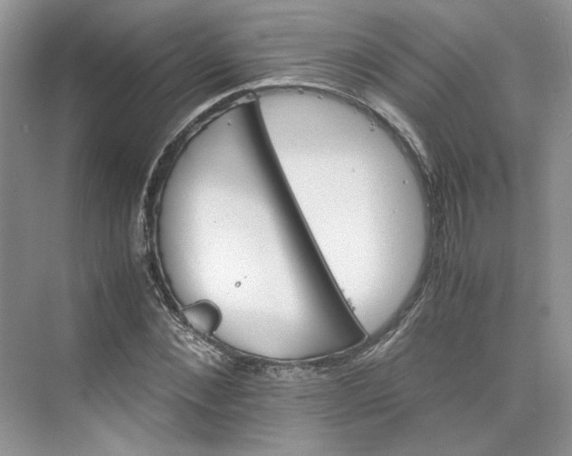 X0000075860876200609291545