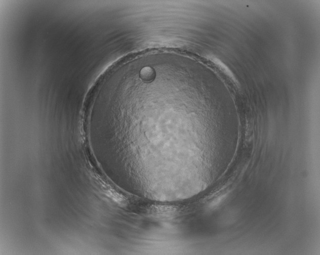 X0000075860878200609291545