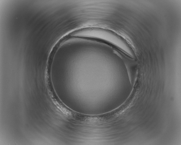 X0000075860880200609291545