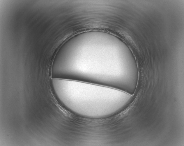 X0000075860881200609291545