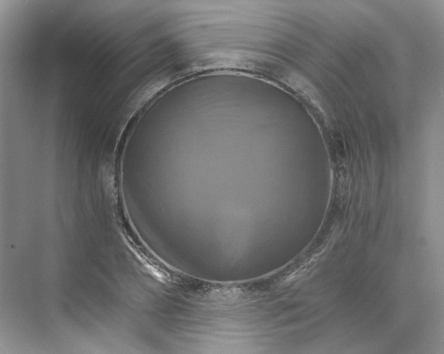 X0000075860882200609291545