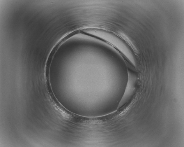 X0000075860884200609291545