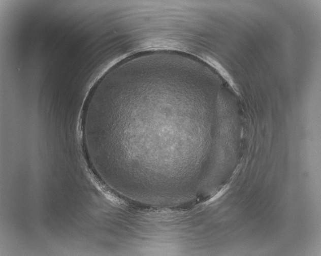 X0000075860885200609291545