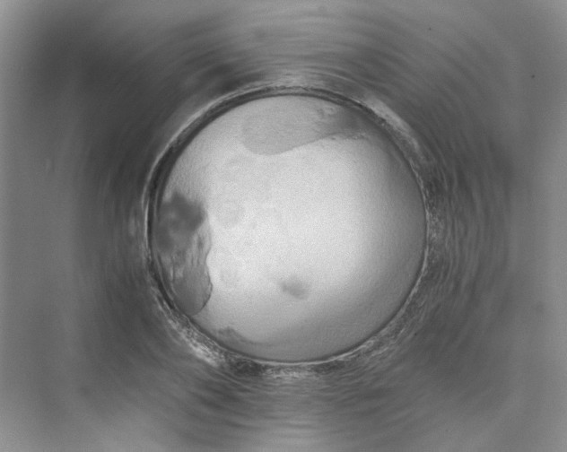 X0000075860886200609291545