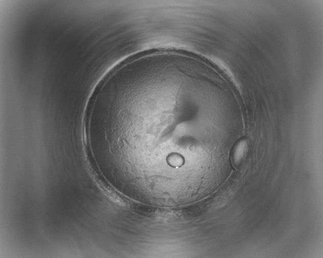 X0000075860887200609291545