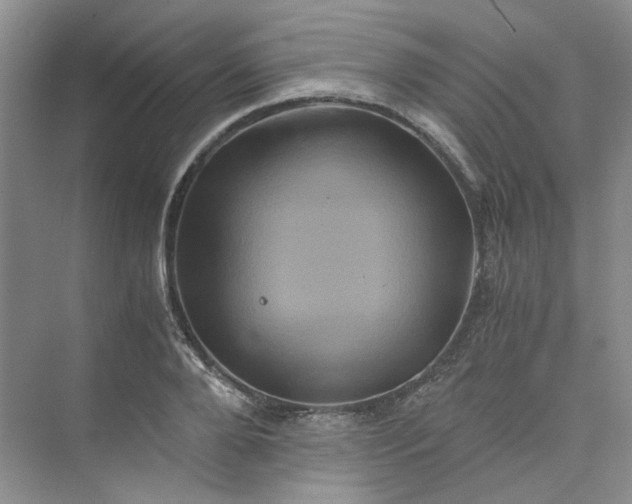 X0000075860888200609291545