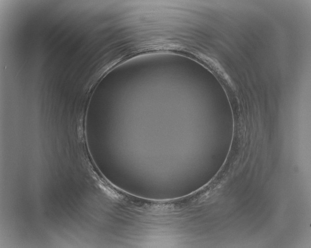 X0000075860889200609291545