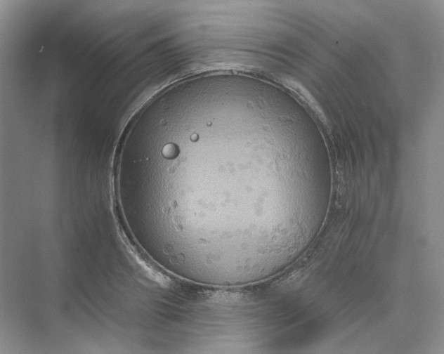 X0000075860890200609291545