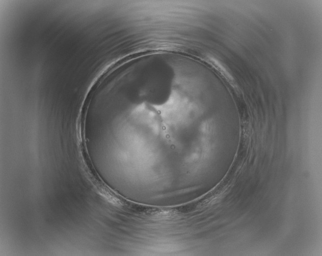 X0000075860891200609291545