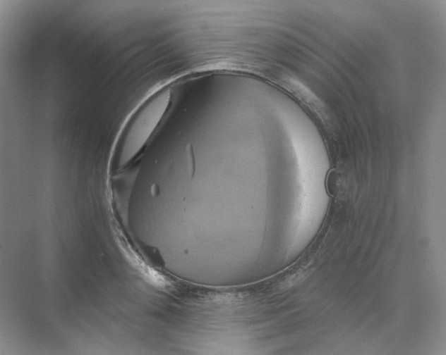 X0000075860892200609291545