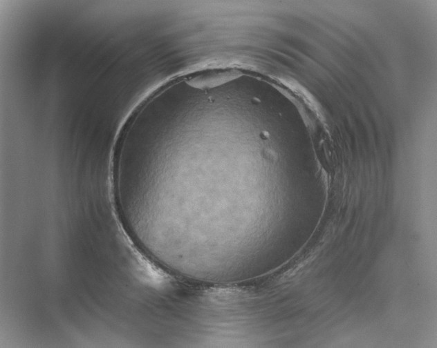 X0000075860894200609291545