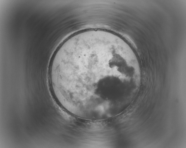 X0000075860895200609291545