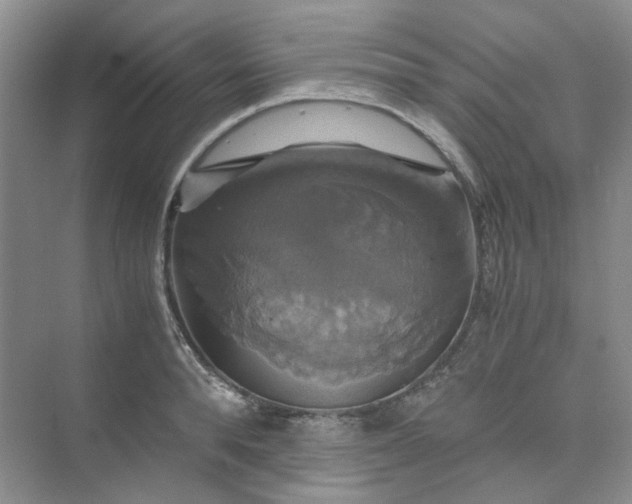 X0000075860896200609291545