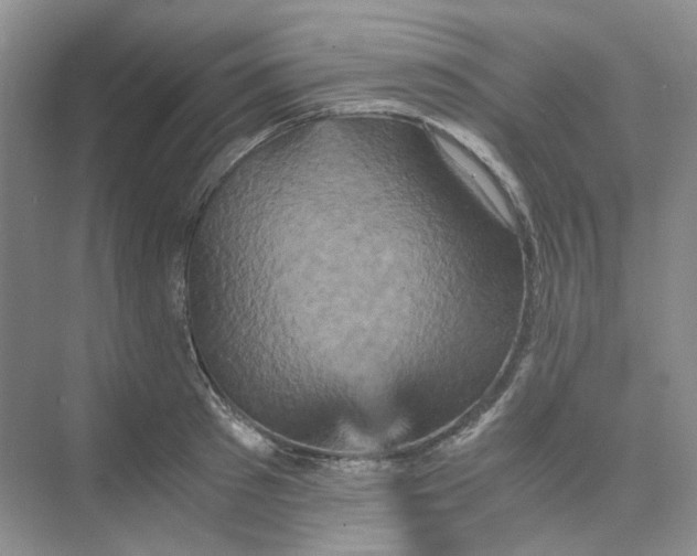 X0000075860897200609291545