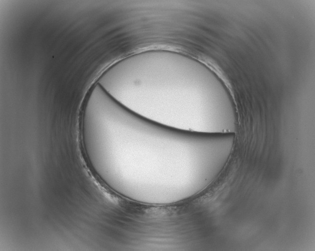 X0000075860898200609291545